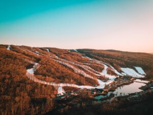 Ski mountain with trees