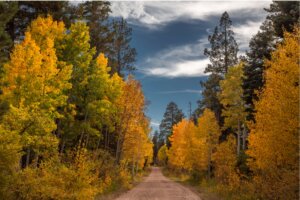 Seasonal fall weather