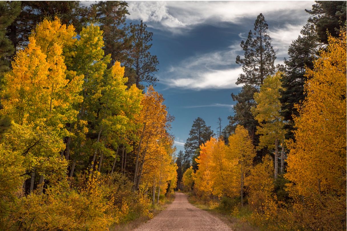 seasonal fall weather seasonal fall weather