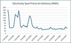 Electricity spot prices for delivery graph