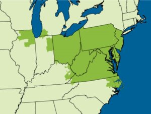 PJM Interconnection footprint on map