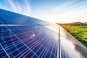 Solar panels in a grassy and sunny field