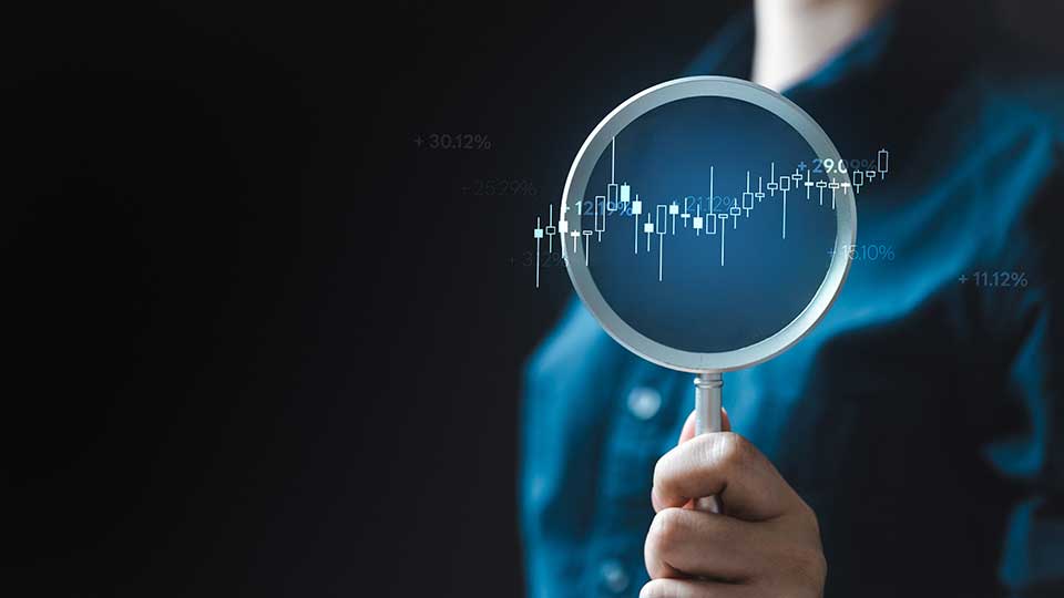 Economic Figures Under Microscope