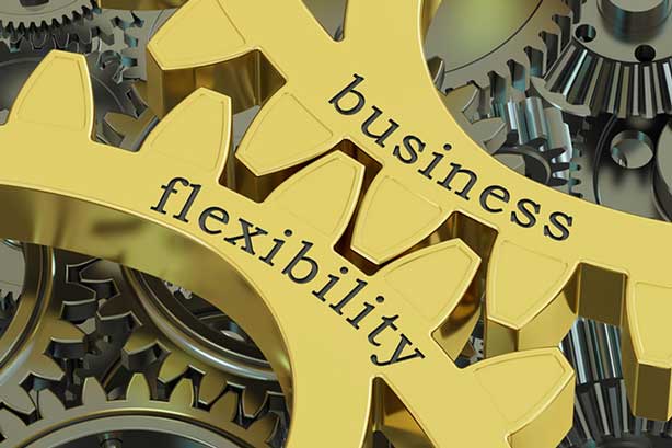 Gears with words business and flexibility