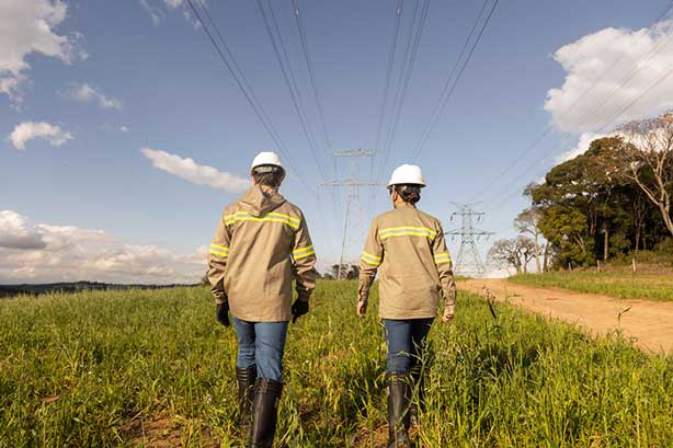 Energy techs walking in field