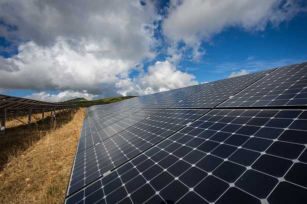 Solar Panel and Grass
